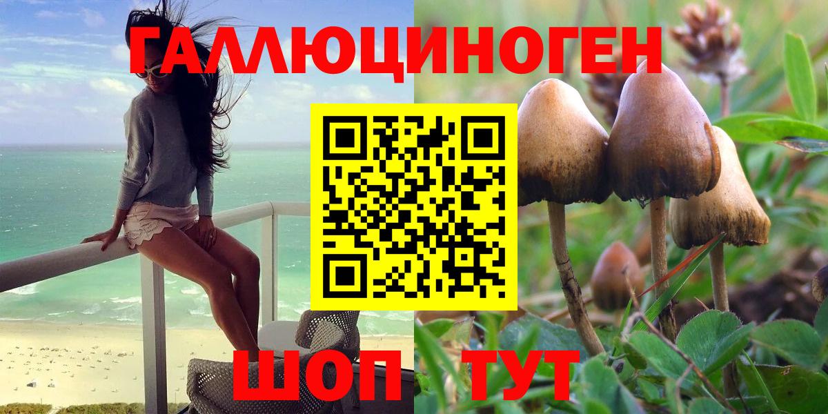 Псилоцибиновые грибы Magic Shrooms  Галлюциногенные грибы GOLDEN TEACHER  Сафоново  Вход с VPN 